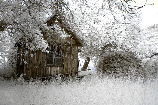 Gartenhütte Infrarot