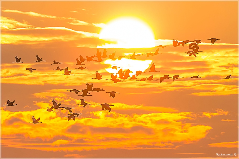 Durch die Sonne...