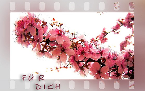 FÜR DICH