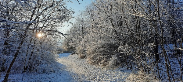 Winter...