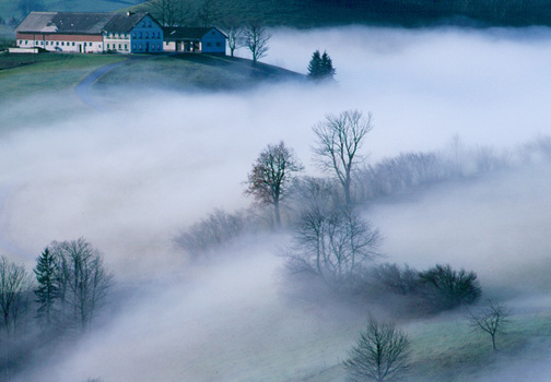 Aufsteigender Morgennebel