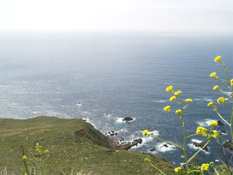 Küste