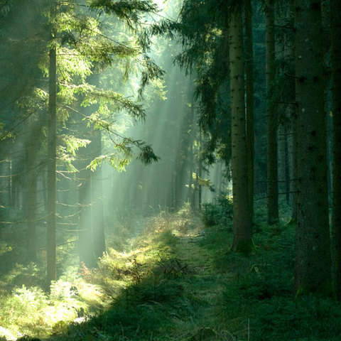 Licht, das führt ....