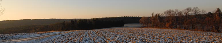 Stille