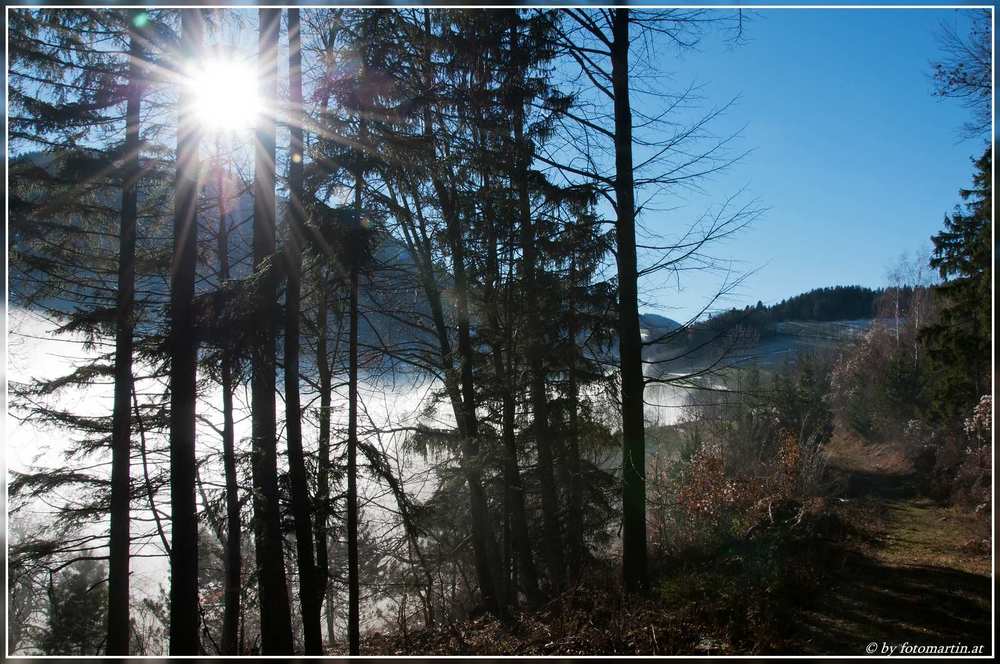 Winternebel