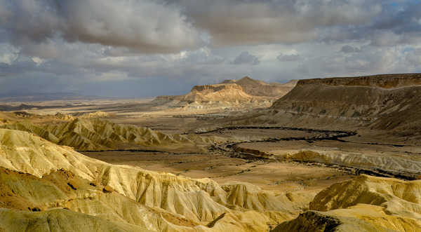 Wüste Negev