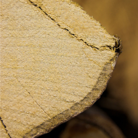 Holz-Akt