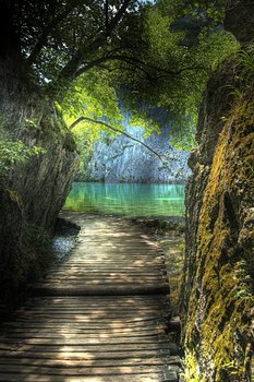 weg zum see