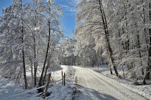 Winterspaziergang
