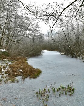 Krottensee