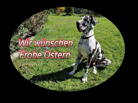 Frohe Ostern!