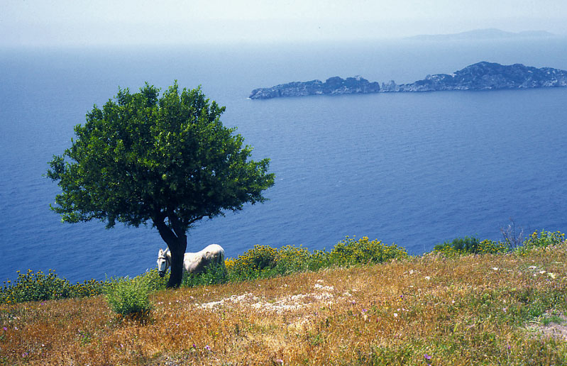 Korfu