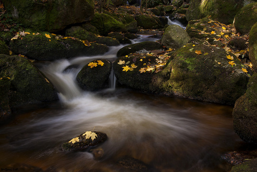 Herbst in der Klamm