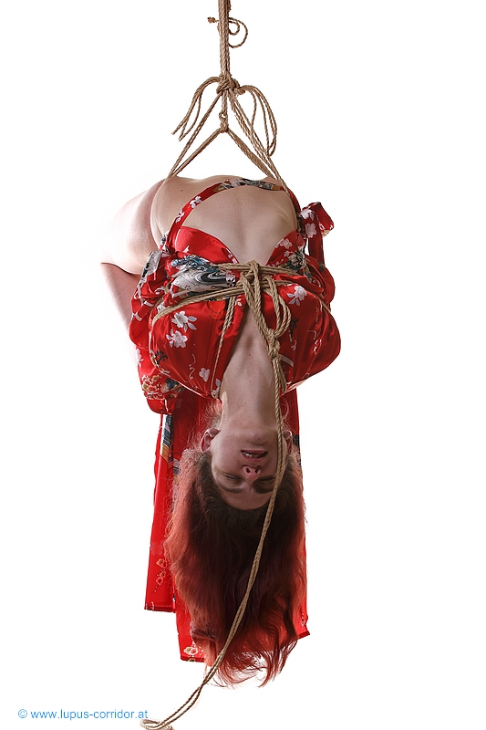 Shibari 2
