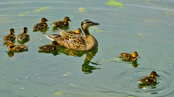 Familienausflug