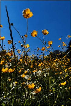 ohne Titel