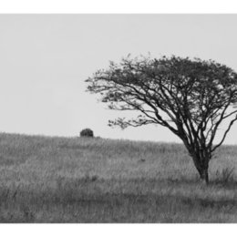 Afrika #15 - Landschaft SW