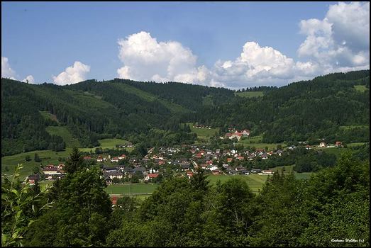 Panoramablick
