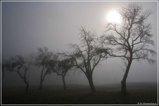Winternebel