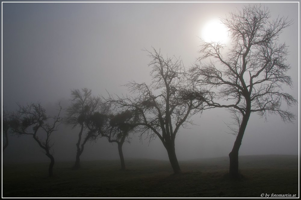 Winternebel