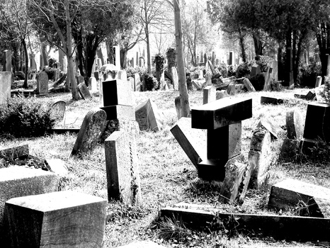 Zentralfriedhof 3