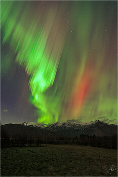 Aurora Borealis über Island