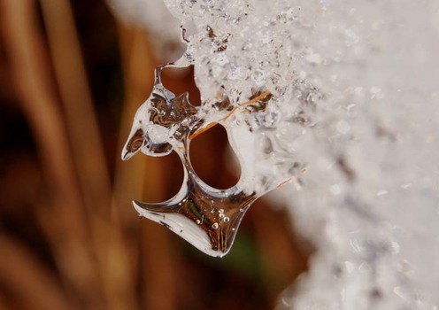 Schnee