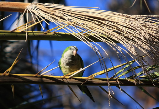 i´m watching you