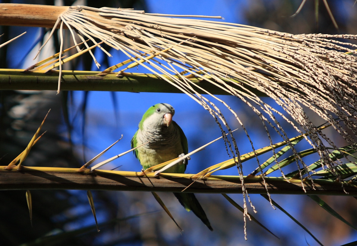 i´m watching you