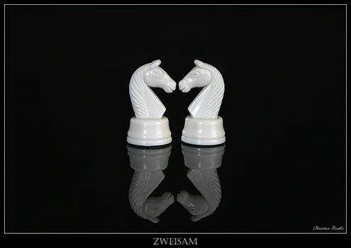 Zweisam