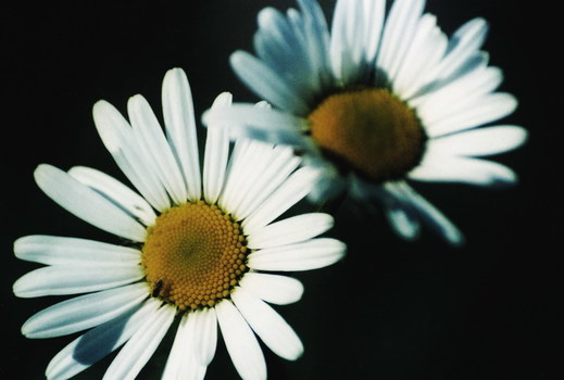 Frühling