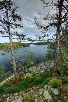 Finnische...