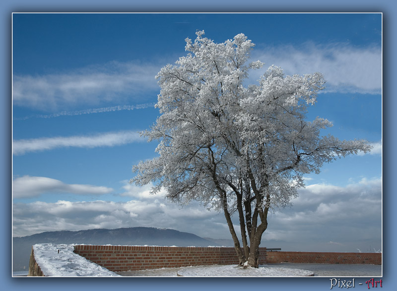 Winterliche Aussicht