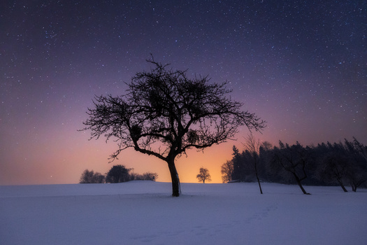 A cold and starry night.