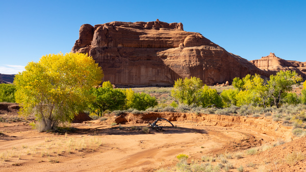 Arches National Park II