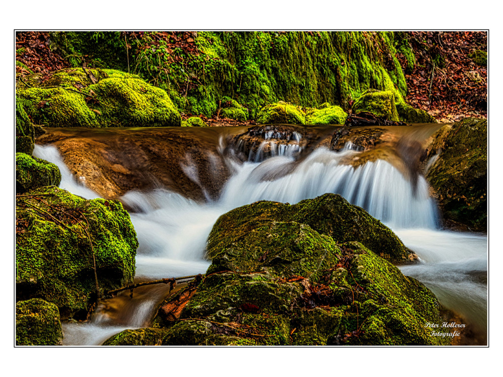 JohBachklamm15.02.2020
