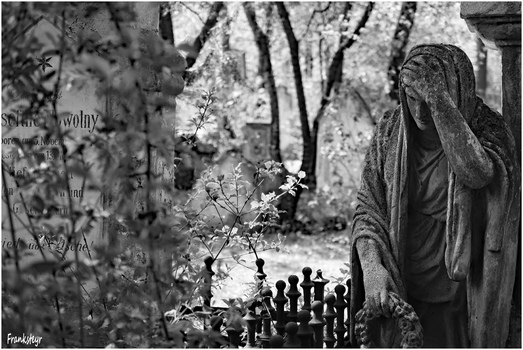 Sankt Marxer Friedhof