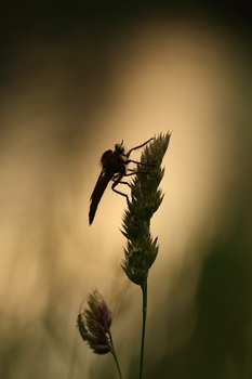 Spät abends...