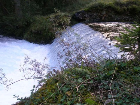 Wasser