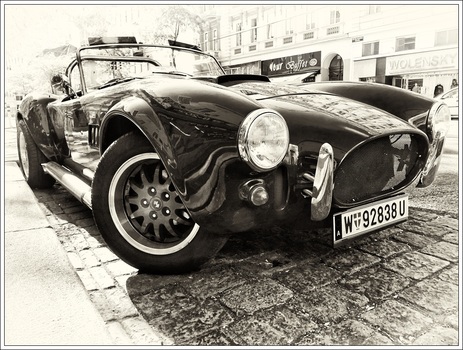 Schwarze Cobra