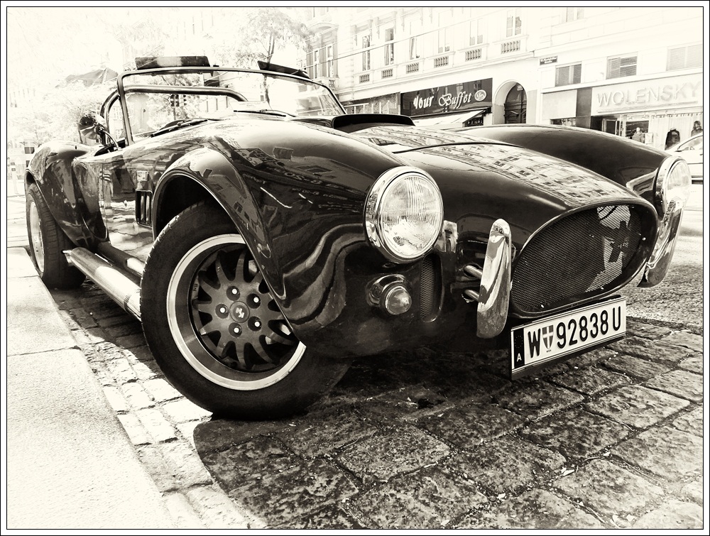 Schwarze Cobra