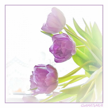 Frühling 2