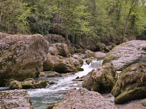 In der Erlaufschlucht
