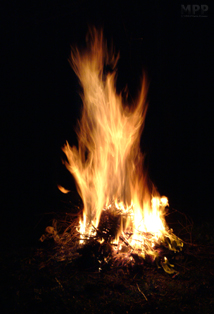 This Fire
