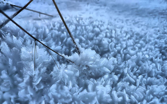 Ice Flakes