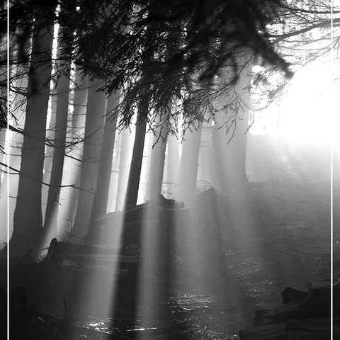 Sunbeams