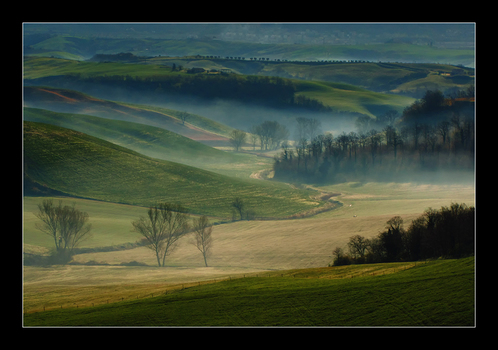 ~foggy morning~