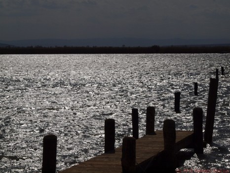 Blick über den Neusiedlersee