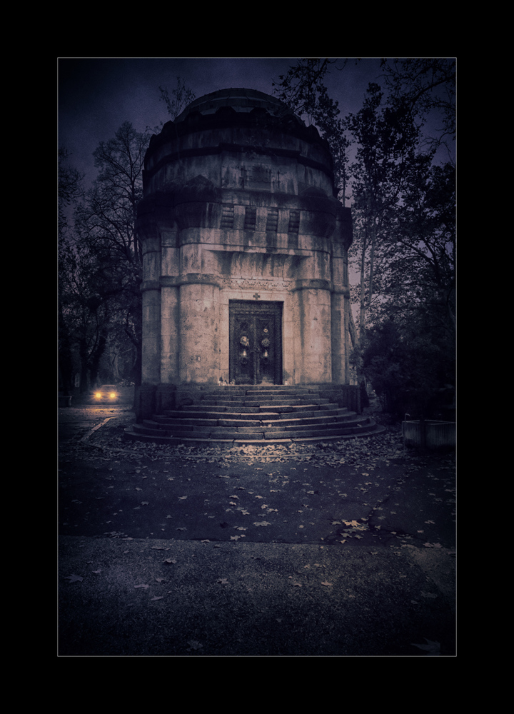 Autumn #6