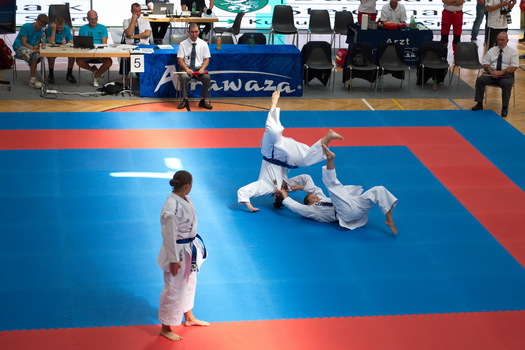 Karate WM 9   Bunkai